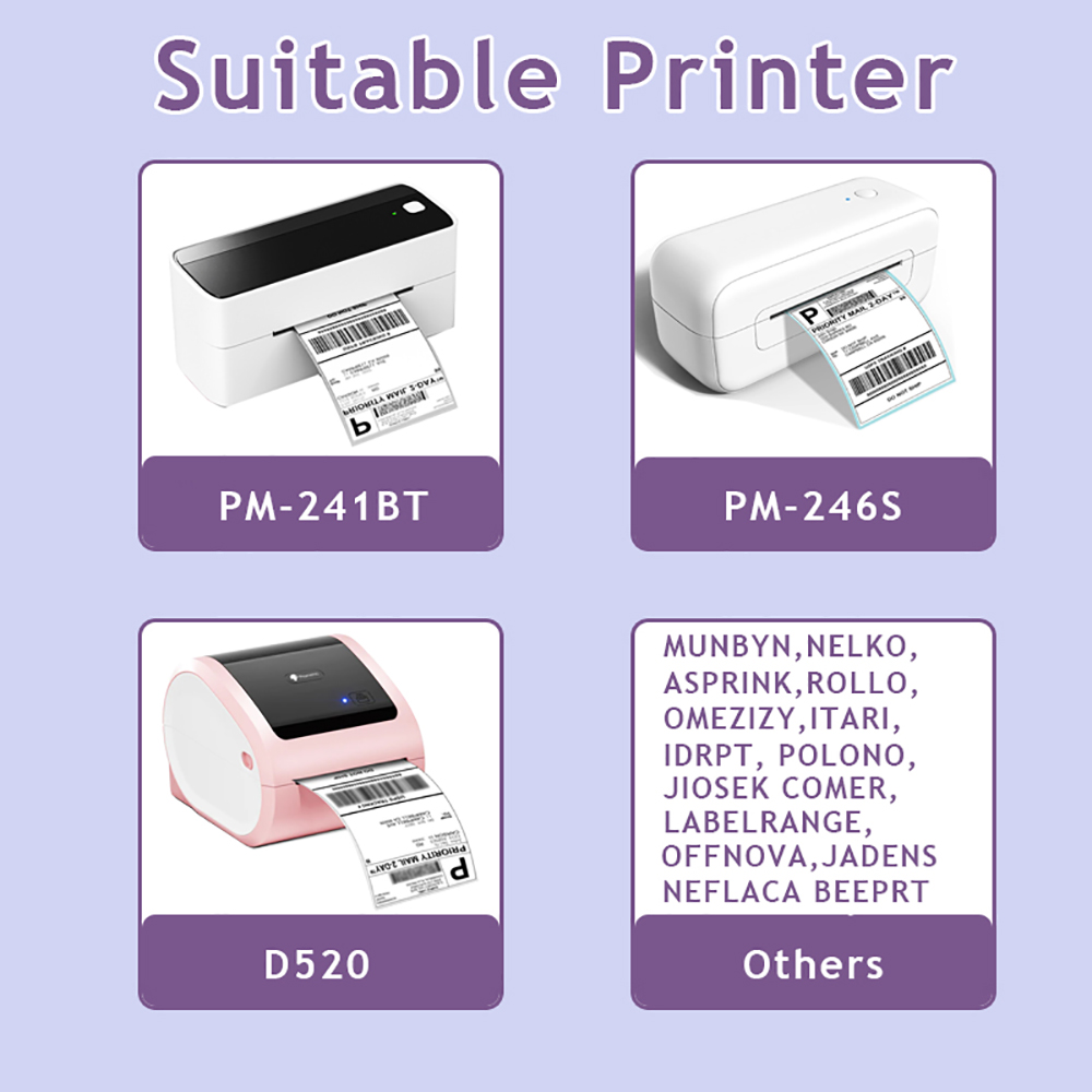 MUNBYN/Nelko 2 Inch Holographi - Industrial Laser Printer review and price